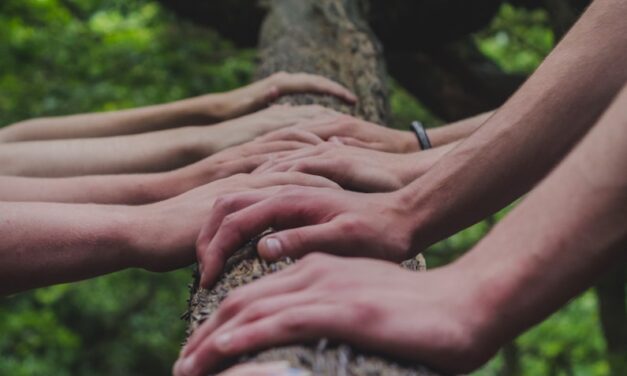 🧩 INSIEME PER UNA RETE LOCALE, GLOBALE E SOLIDALE